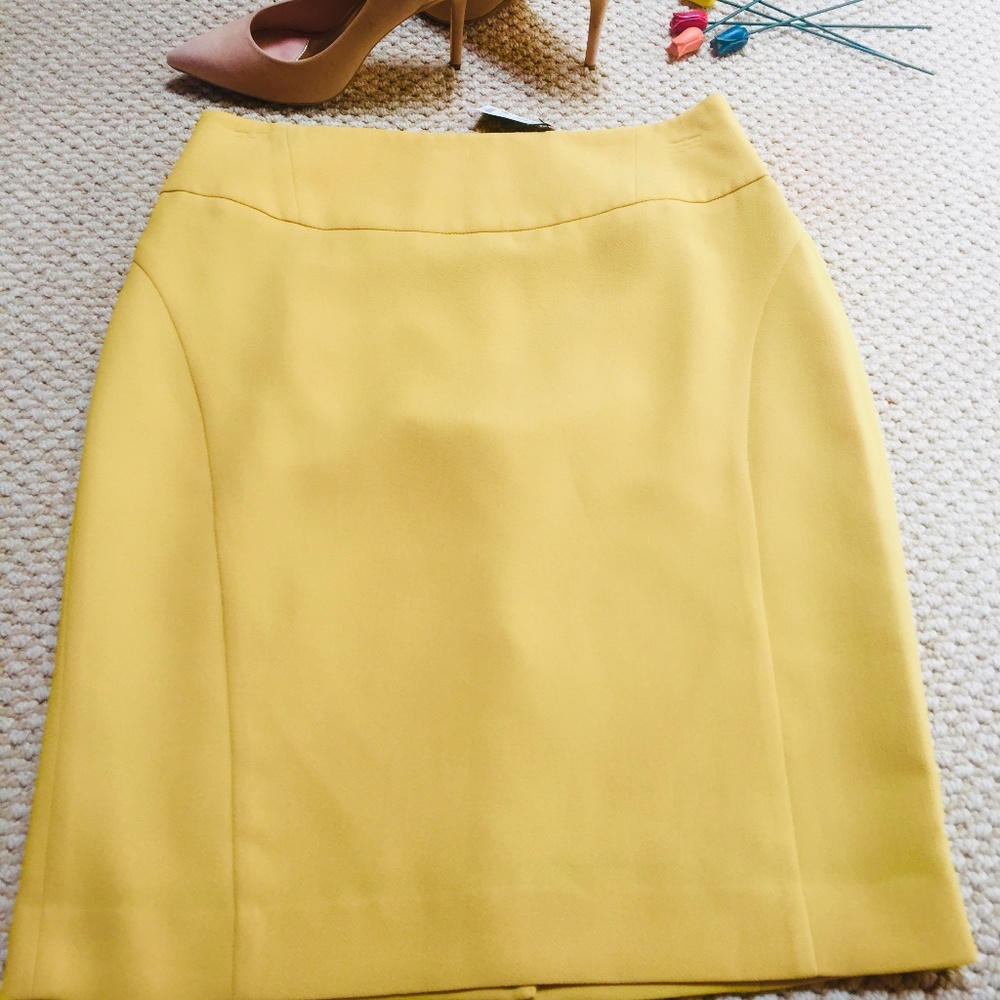 NWT Textured Pencil High Waist Skirt (12)